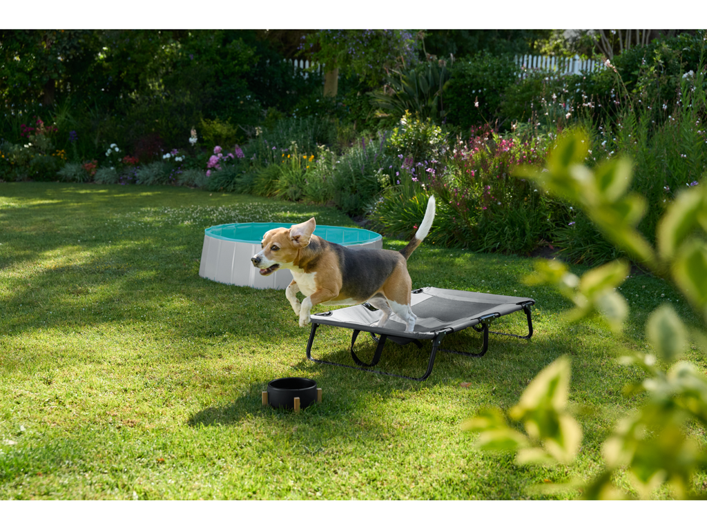 Piscine pour chien, 120 x 30 cm