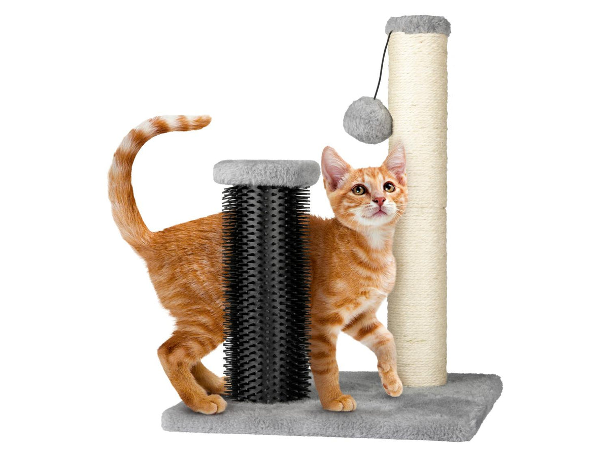 Poteau à gratter pour chat
